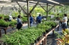 PLANT SALE