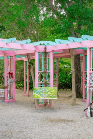 COLOUR GARDEN