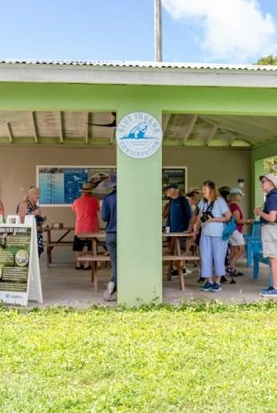 Blue Iguana Conservation