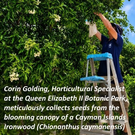 CONSERVATION