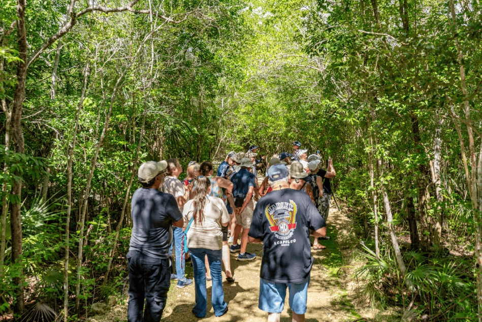 WOODLAND TRAIL