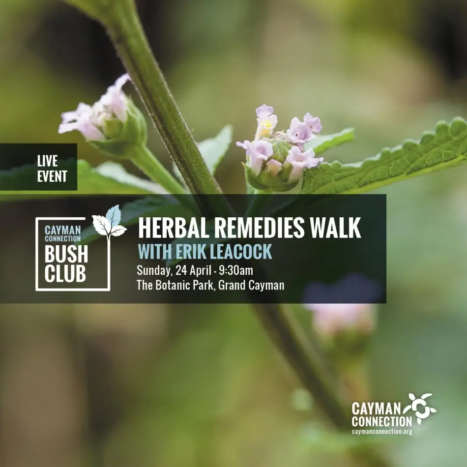 HERBAL REMEDIES WALK